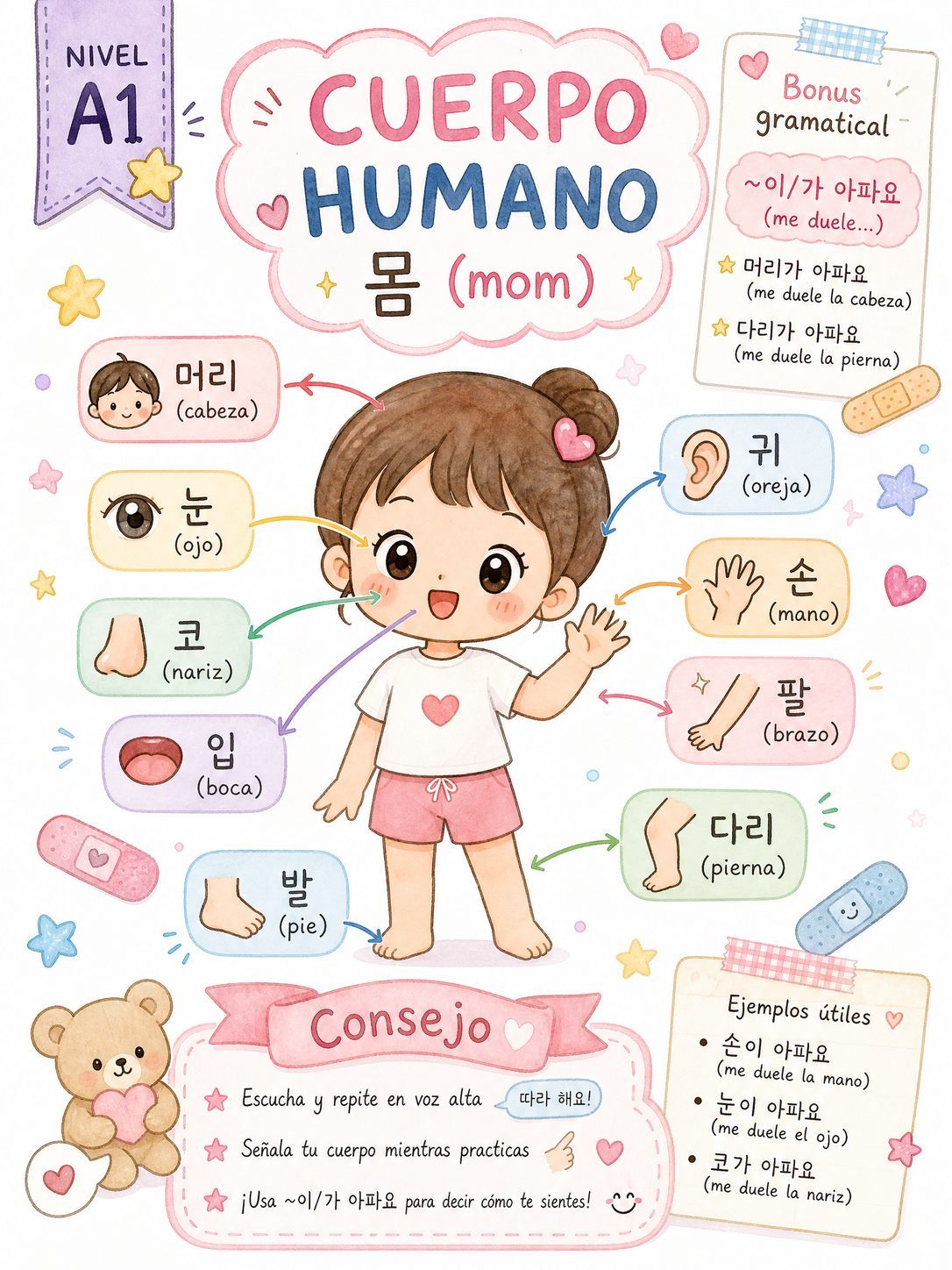 Cuerpo Humano